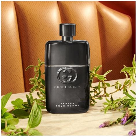 gucci guilty pour homme sport|gucci guilty pour homme fragrantica.